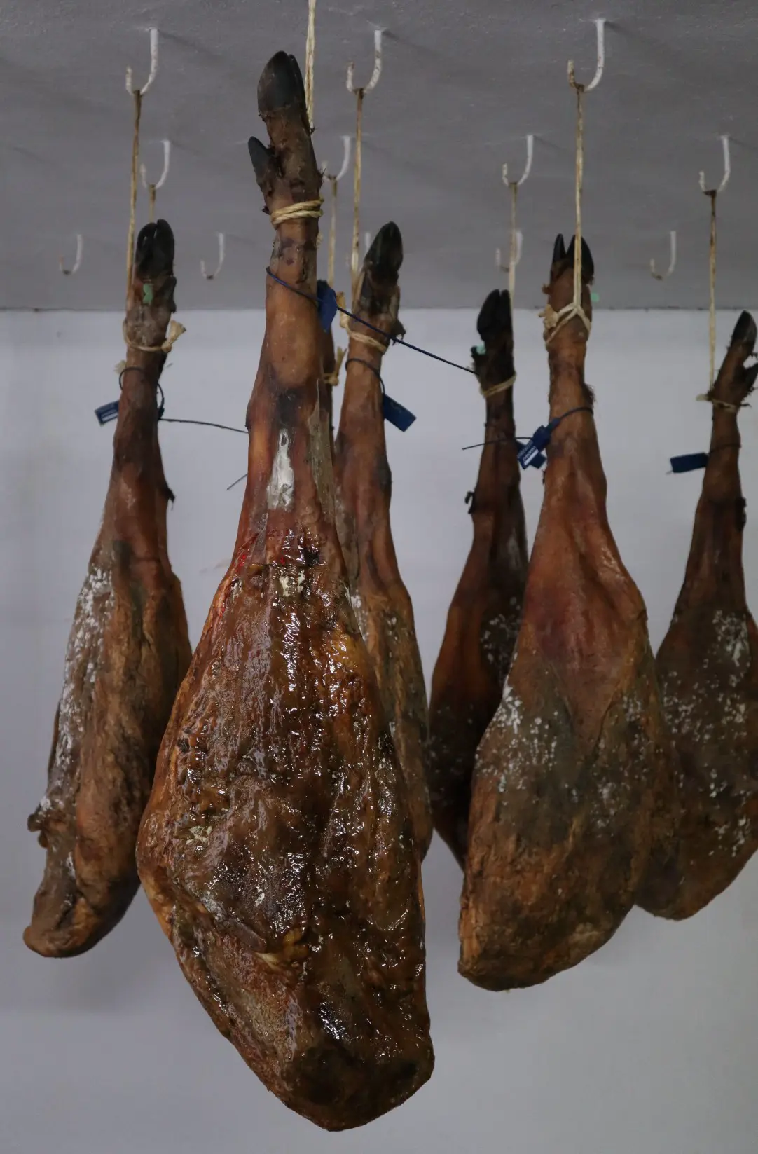 Jamón 4R