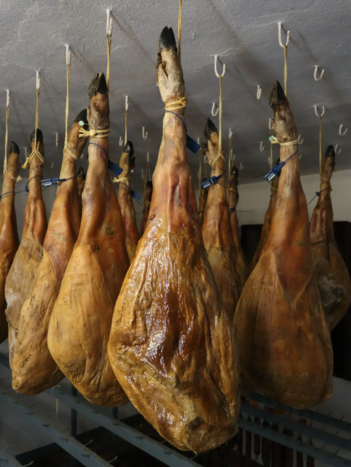 Jamón 5R