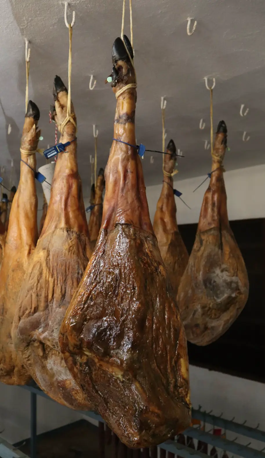 Jamón Gran Selección